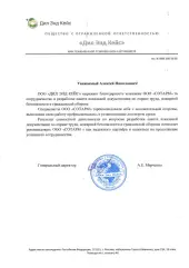 000 «ДИЛ ЭНД КЕЙС»